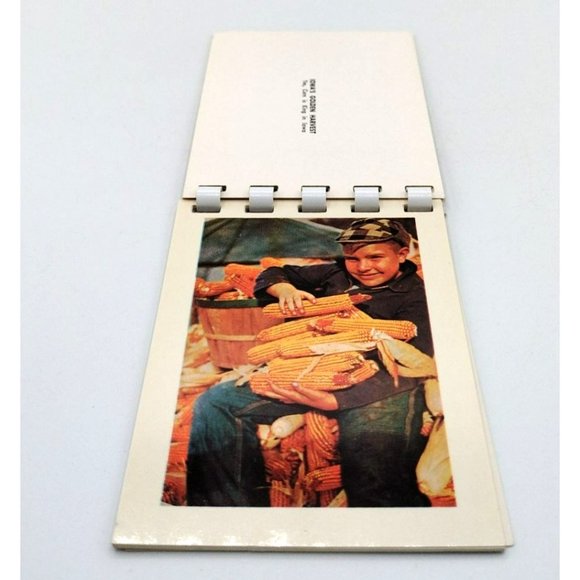 Iowa Tourist Booklet of 10 Genuine Plastichromes Vintage Travel Souvenir - Picture 8 of 12